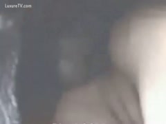 A woman dog owner is pleased with her dog's cock.